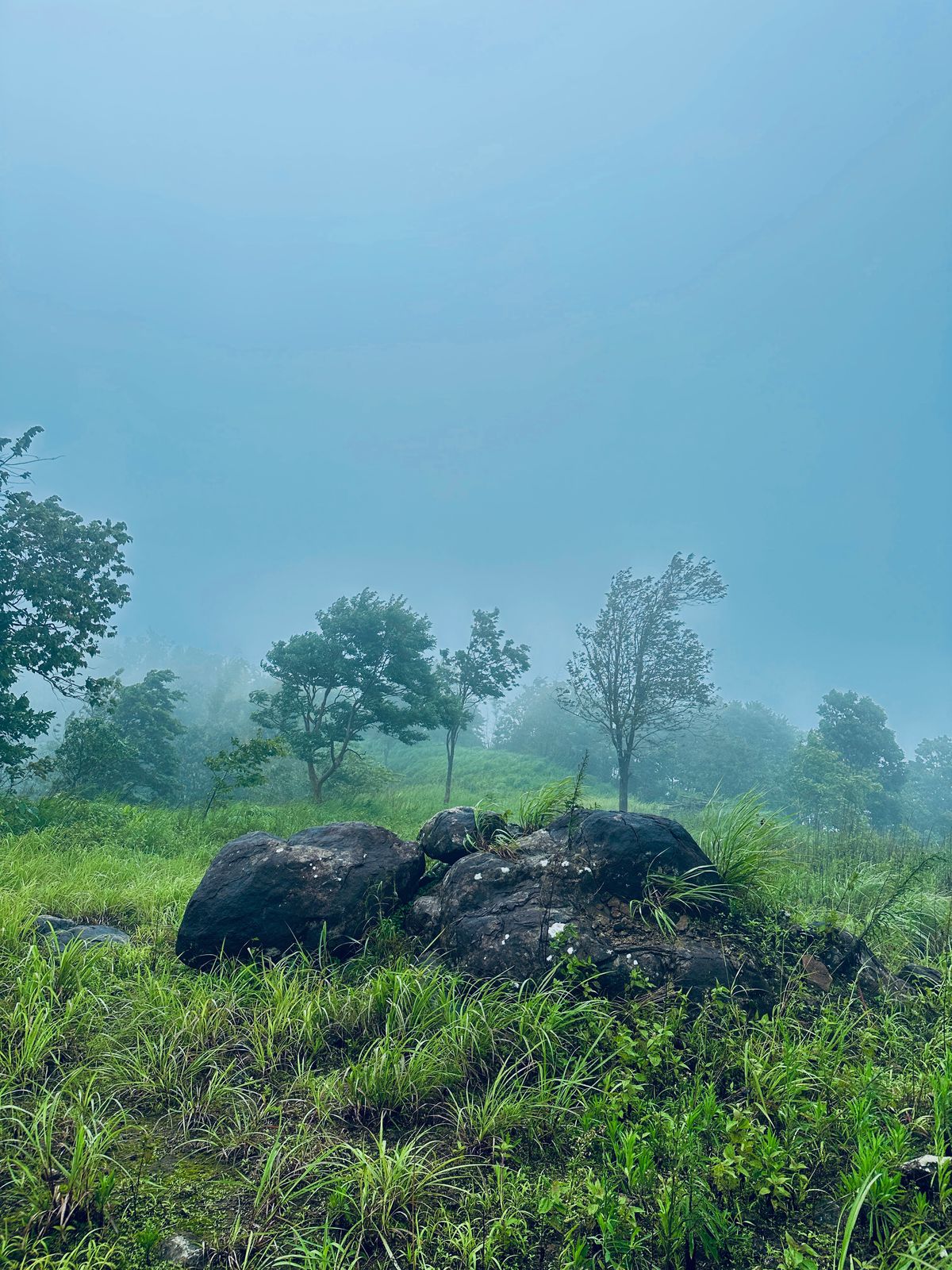 Resorts near Nilambur