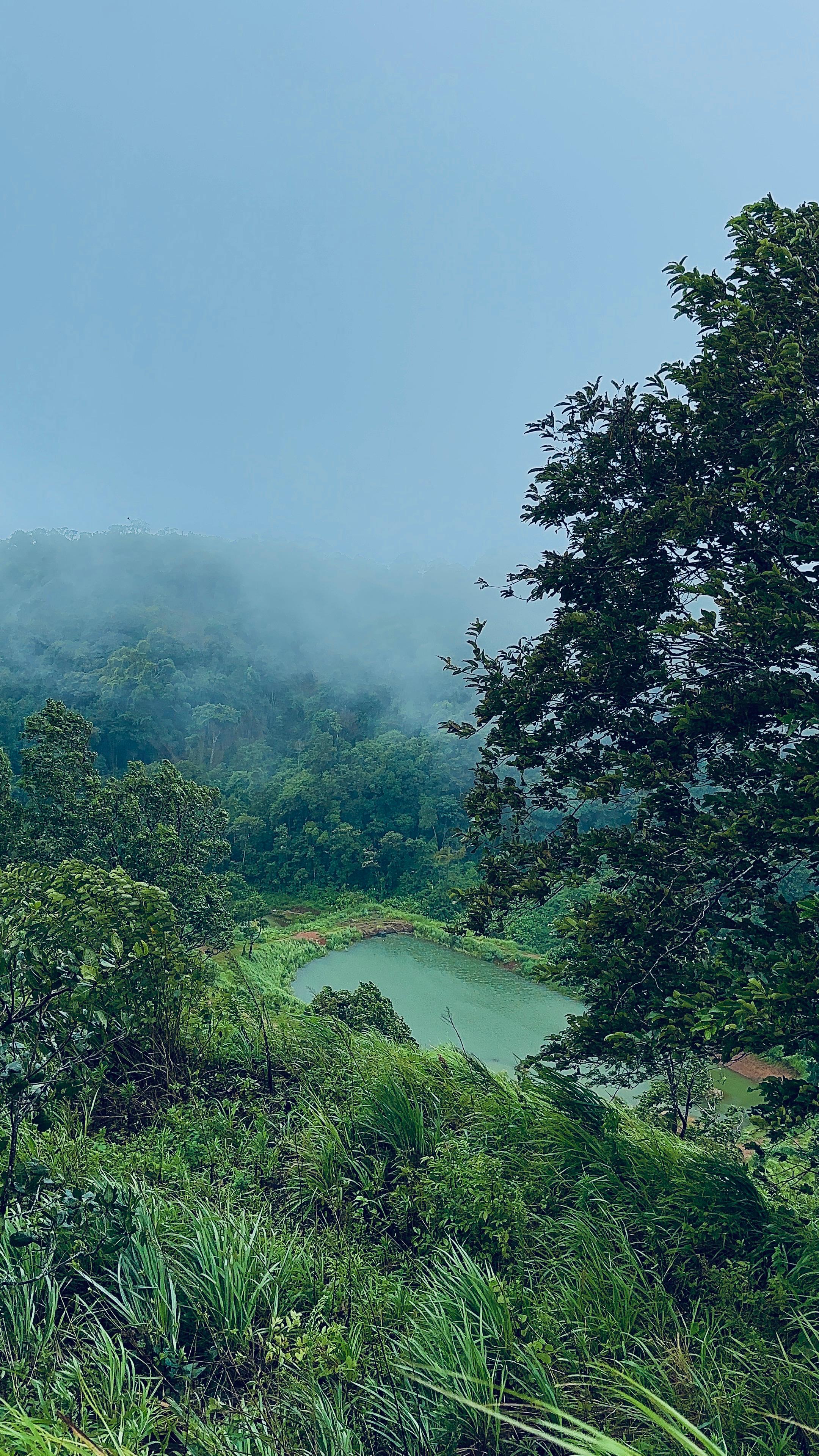 Best resorts near Kozhikode for families